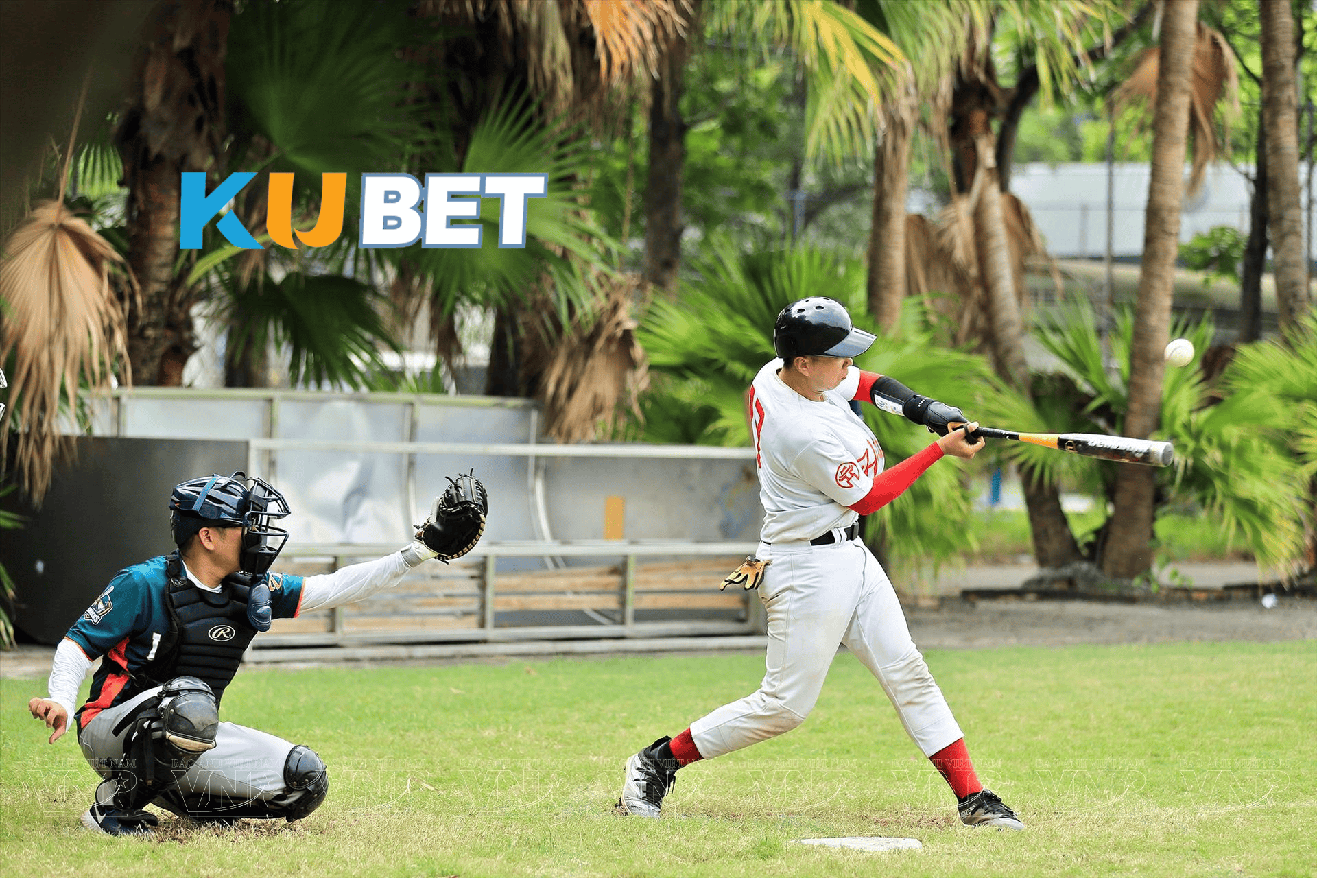 Các hình thức cược bóng chày phổ biến tại Kubet