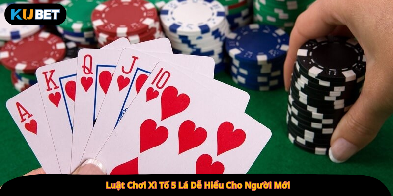 Luật Chơi Xì Tố 5 Lá Dễ Hiểu Cho Người Mới