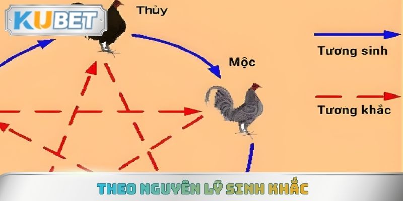 Theo nguyên lý sinh khắc