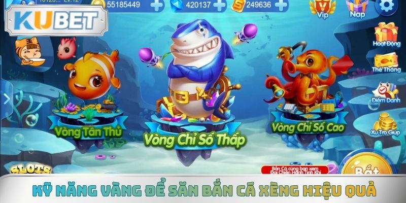 Kỹ năng vàng để săn bắn cá xèng hiệu quả